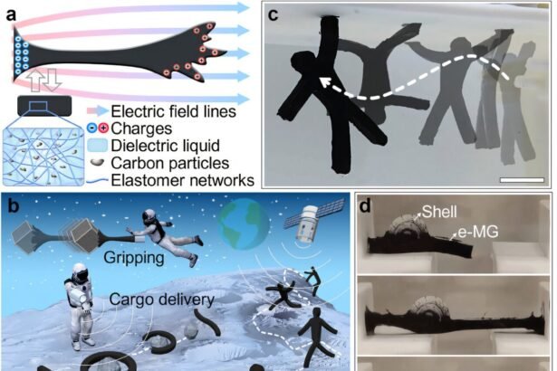 Electrodynamic Gymnastics: The Shapeshifting Robot