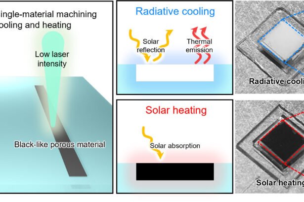 Energy-Efficient Polymer Surface Switches for Dynamic Temperature Control