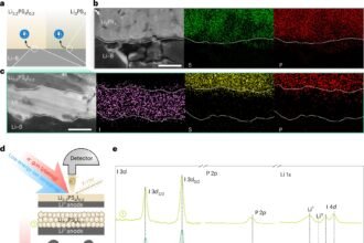 Enhancing Durability and Security: The Impact of Self-healing Layers on All-Solid-State Lithium Batteries