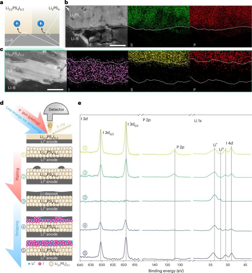Enhancing Durability and Security: The Impact of Self-healing Layers on All-Solid-State Lithium Batteries