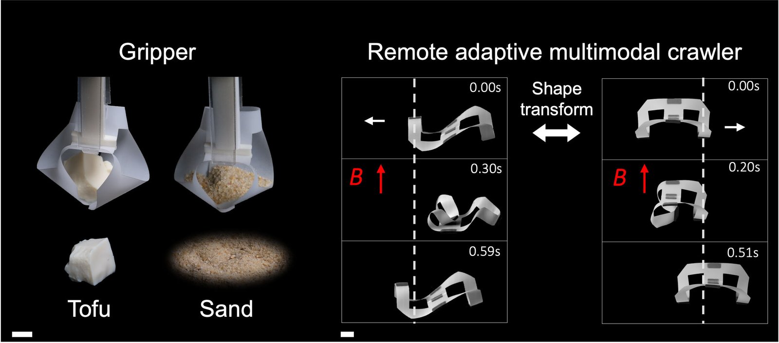 Metabots: The Shape-Shifting Wonders of Structured Transformation ...