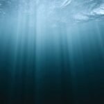 OpenStack Flamingo: Addressing Technical Debt for Continued Adoption Growth