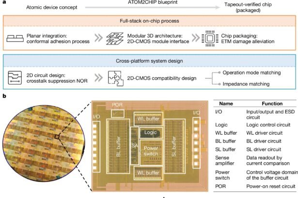 Revolutionary Breakthrough: The Invention of a Hybrid Chip with 2D Materials and Silicon Circuitry