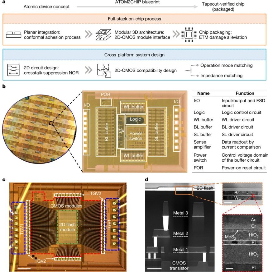 Revolutionary Breakthrough: The Invention of a Hybrid Chip with 2D Materials and Silicon Circuitry