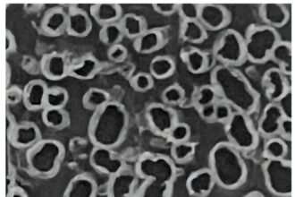 Revolutionizing Energy Storage: The Sustainable Supercapacitor Solution