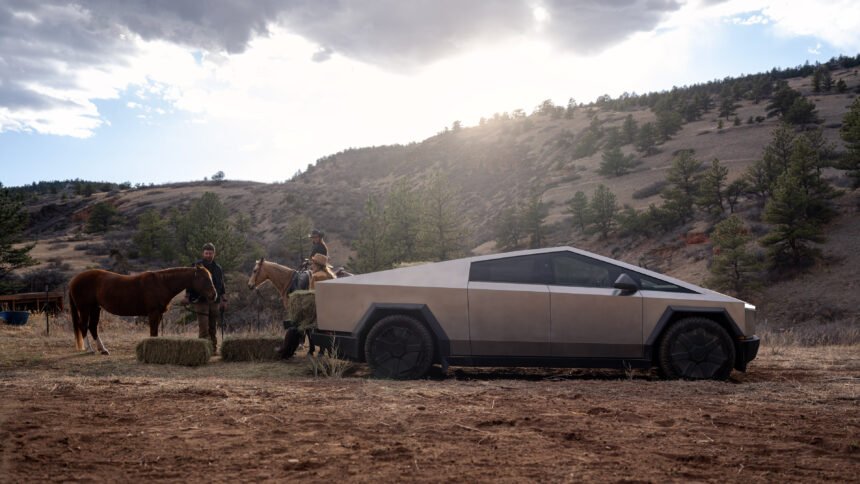 The Fallout of Tesla’s Costly Error