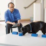 The Impact of AI on Cognitive Engagement: A Study by MIT