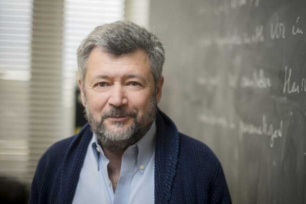 The Quantum Computer Conundrum: A Fields Medalist’s Perspective