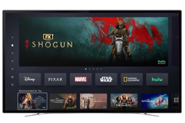The Ultimate Guide to the Hulu and Disney+ Merger: Everything You Need to Know