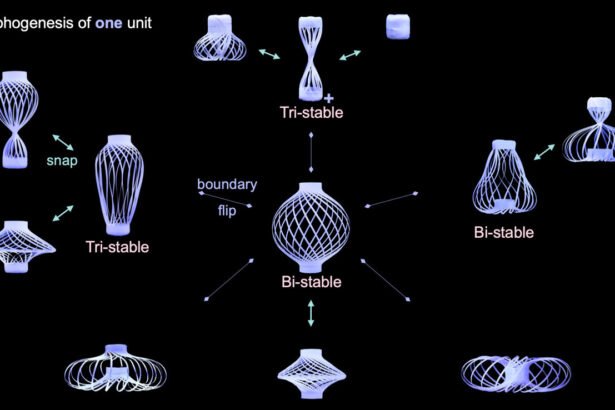 Transforming Chinese Lantern: Adaptable Structures for Diverse Applications