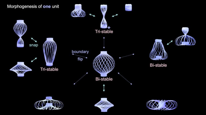 Transforming Chinese Lantern: Adaptable Structures for Diverse Applications