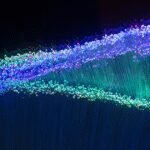 Adapting to Survive: The Future of Fiber Utilities