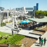 Alphabet’s Record-Breaking Quarter: AI Powers Ads to New Heights