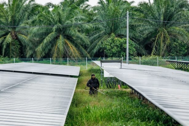 From Palm Oil to Pixels: Malaysia’s Transformation into Data Hubs