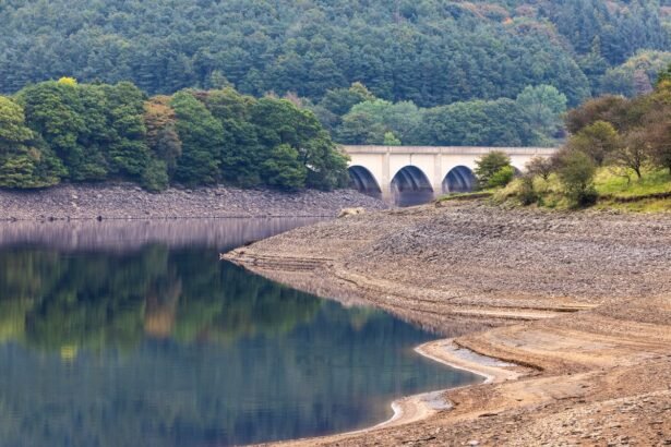 Hydro-Powered AI: The Limitless Potential of Water-Based Technology