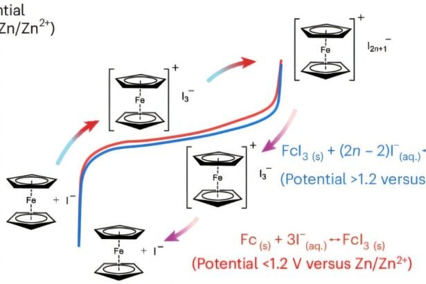 Improved Cathode Chemistry Reduces Self-Discharge in Large-Scale Zinc-Iodine Batteries