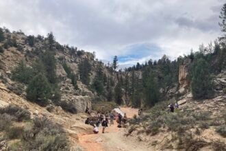 Lessons Learned: A Seattle Entrepreneur’s Journey from Indie Film to Startup Success