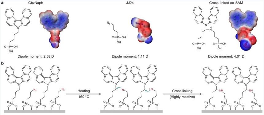 Maximizing Stability: Universal Cross-Linking Strategy for Enhanced Performance in Inverted Perovskite Solar Cells