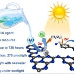 Revolutionizing Green Hydrogen Production: Harnessing Seawater without Added Reagents