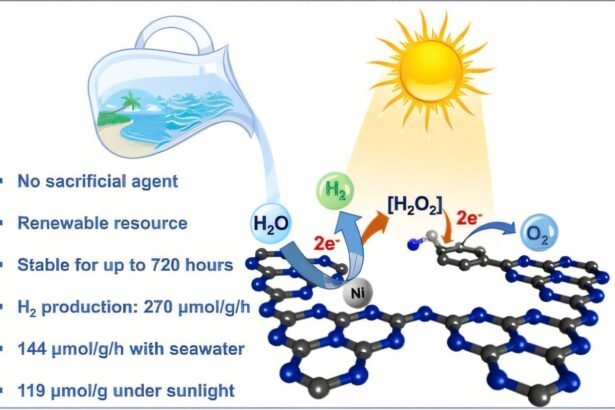 Revolutionizing Green Hydrogen Production: Harnessing Seawater without Added Reagents