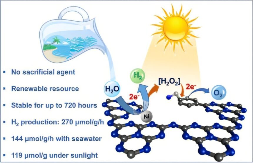 Revolutionizing Green Hydrogen Production: Harnessing Seawater without Added Reagents