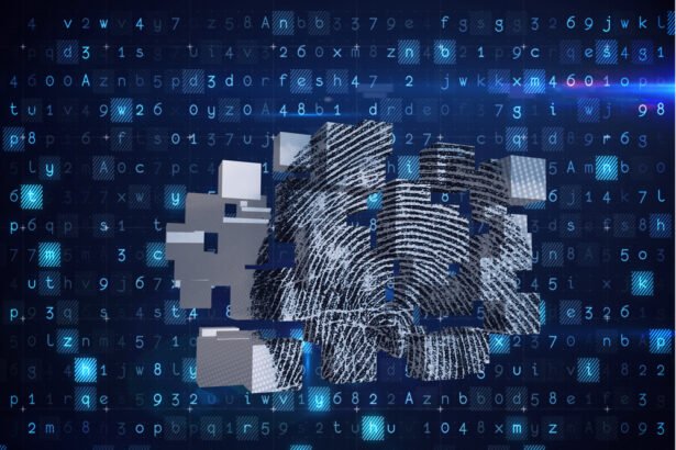 Revolutionizing Personal Security: The Impact of Biometrics