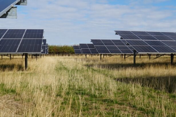 Revolutionizing UK Data Centres with Solar Innovation