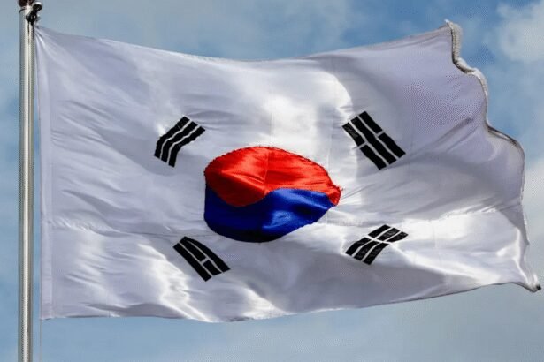 South Korea’s AI Revolution: Harnessing 260,000 Nvidia Chips