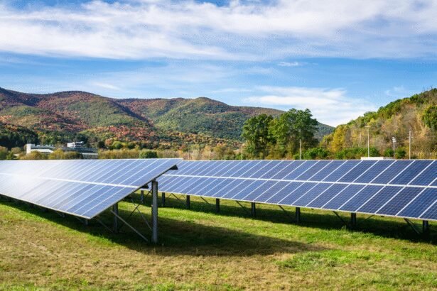 Tech Titans Embrace Solar Energy to Combat Data Center Grid Overload