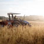 The Plunge of FMC: Analyzing the 50% Drop in October