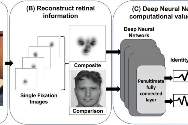 The Power of Super Recognizers: How Unique Eye Patterns Give AI an Edge in Face Matching