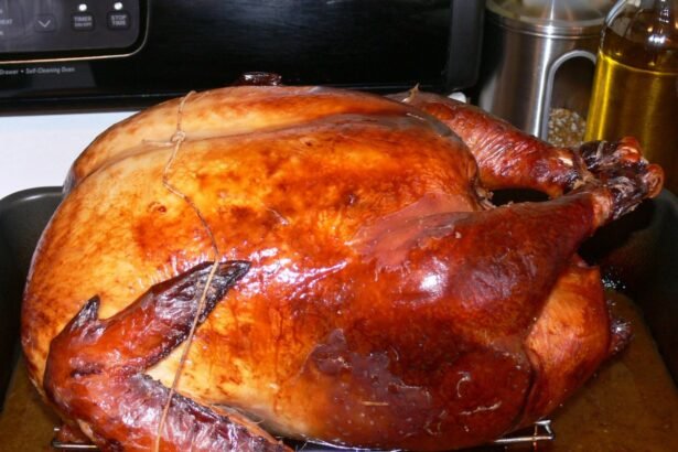 The Thanksgiving Showdown: Michael Burry takes on Nvidia