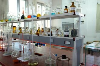 Unlocking Business Success: Lessons from Europe’s AI Education Innovations