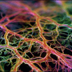 Unlocking the Power of Sparse Models: A Breakthrough in Neural Network Debugging