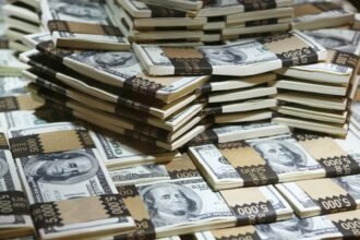 Becoming a Millionaire with Just  a Day: The Math Behind Retiring Wealthy