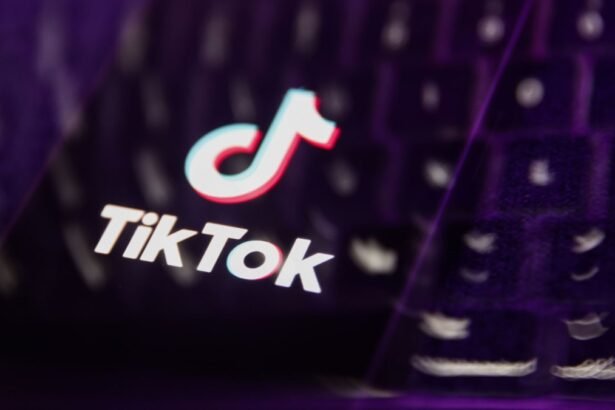 Driver Faces Charges for Fatal TikTok Livestream Incident