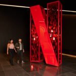 From Hollywood to Albania: The Rise of Netflix and the Fall of Warner Bros.