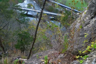 Massive Deployment: Indian Service Companies Acquire 50,000 Copilot Licences