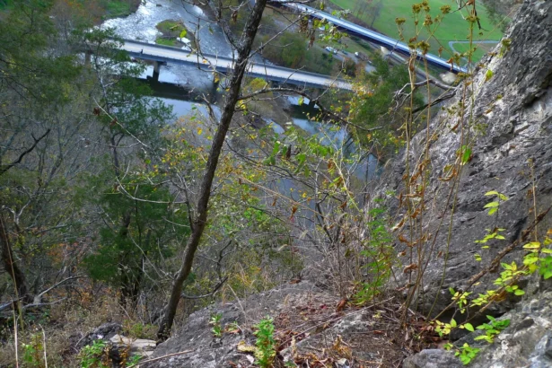 Massive Deployment: Indian Service Companies Acquire 50,000 Copilot Licences