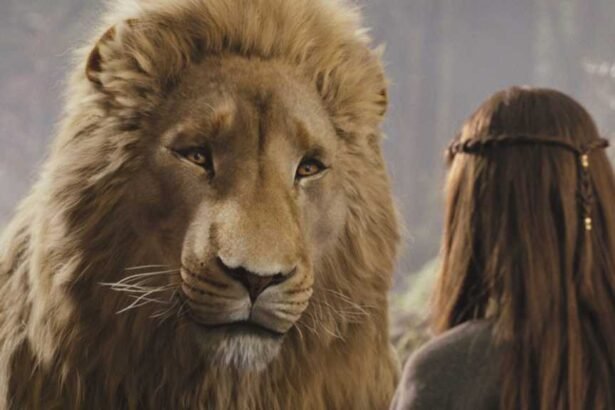 Narnia: The Sorcerer’s Apprentice – Latest Updates on Release Date, Cast, Plot, and News