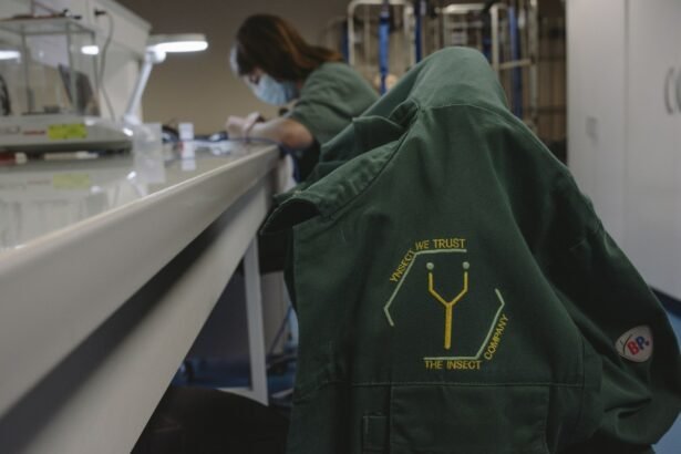 Reality Bites: The Rise and Fall of Ÿnsect, the French Startup with 0M in Insect Farming Funding