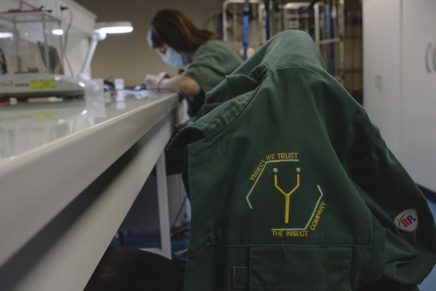 Reality Bites: The Rise and Fall of Ÿnsect, the French Startup with 0M in Insect Farming Funding