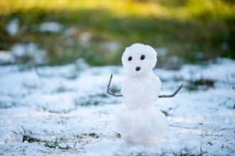 Snowflake Software Update: A 13-Hour Outage Across 10 Regions