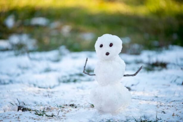 Snowflake Software Update: A 13-Hour Outage Across 10 Regions