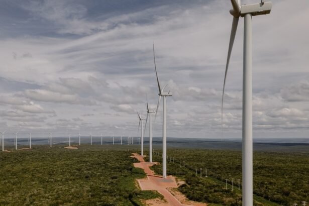 TikTok Announces Record Investment in Brazilian Data Center Expansion