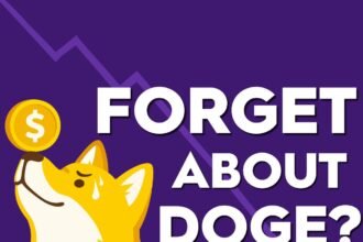Unleashing the Potential: How Dogecoin Could Make You a Millionaire by 2026