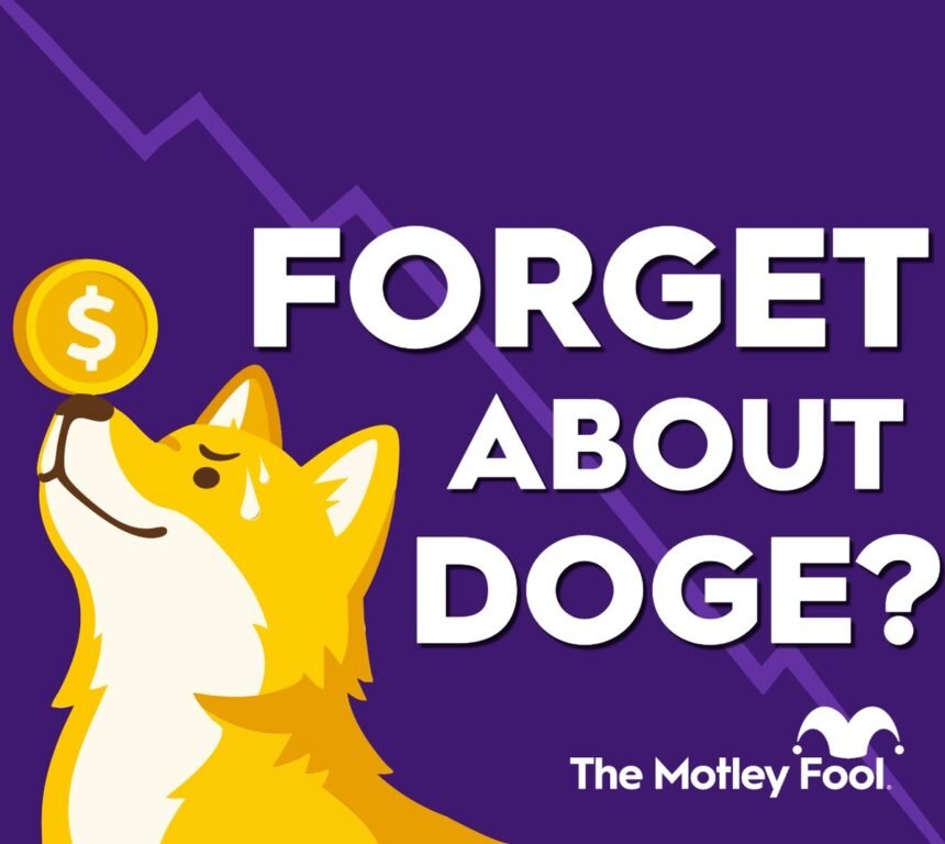 Unleashing the Potential: How Dogecoin Could Make You a Millionaire by 2026