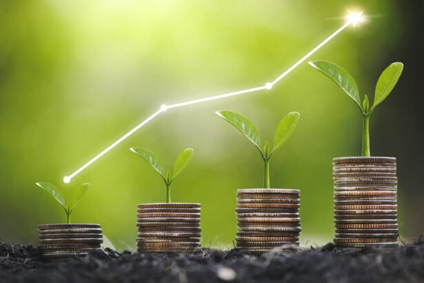 Consumer Powerhouses: MercadoLibre and Chipotle’s Price Dominance