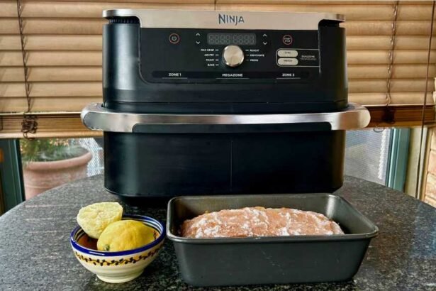 Embracing the Air Fryer: A Culinary Game Changer