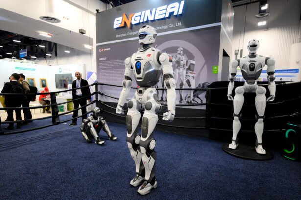 Encountering Eccentric Robots: My Unforgettable Experiences at CES